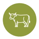 Maisäß- und Feriendorf Garfrescha, Montafon