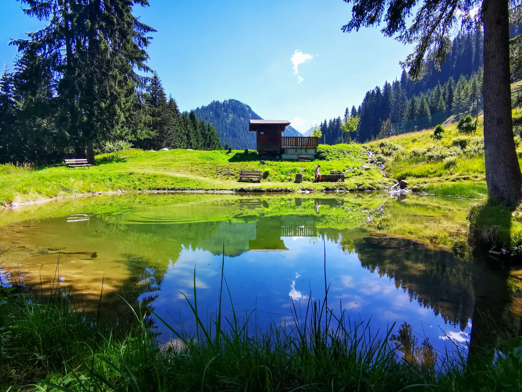 Fischteich Brand Garfrescha, Christine Vergud