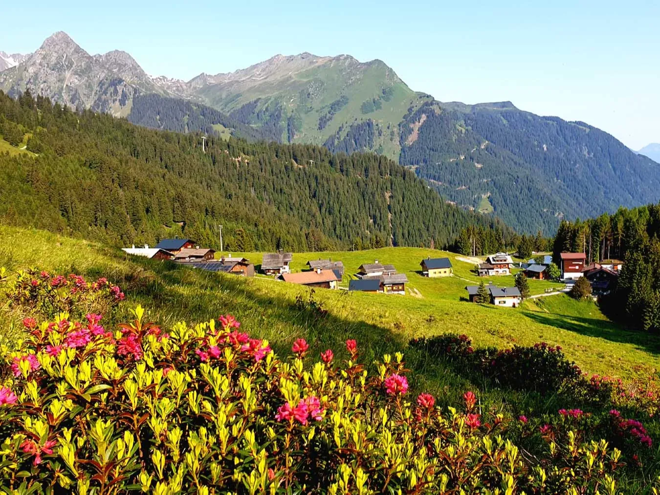 Garfrescha Sommer, Ernst Tschofen