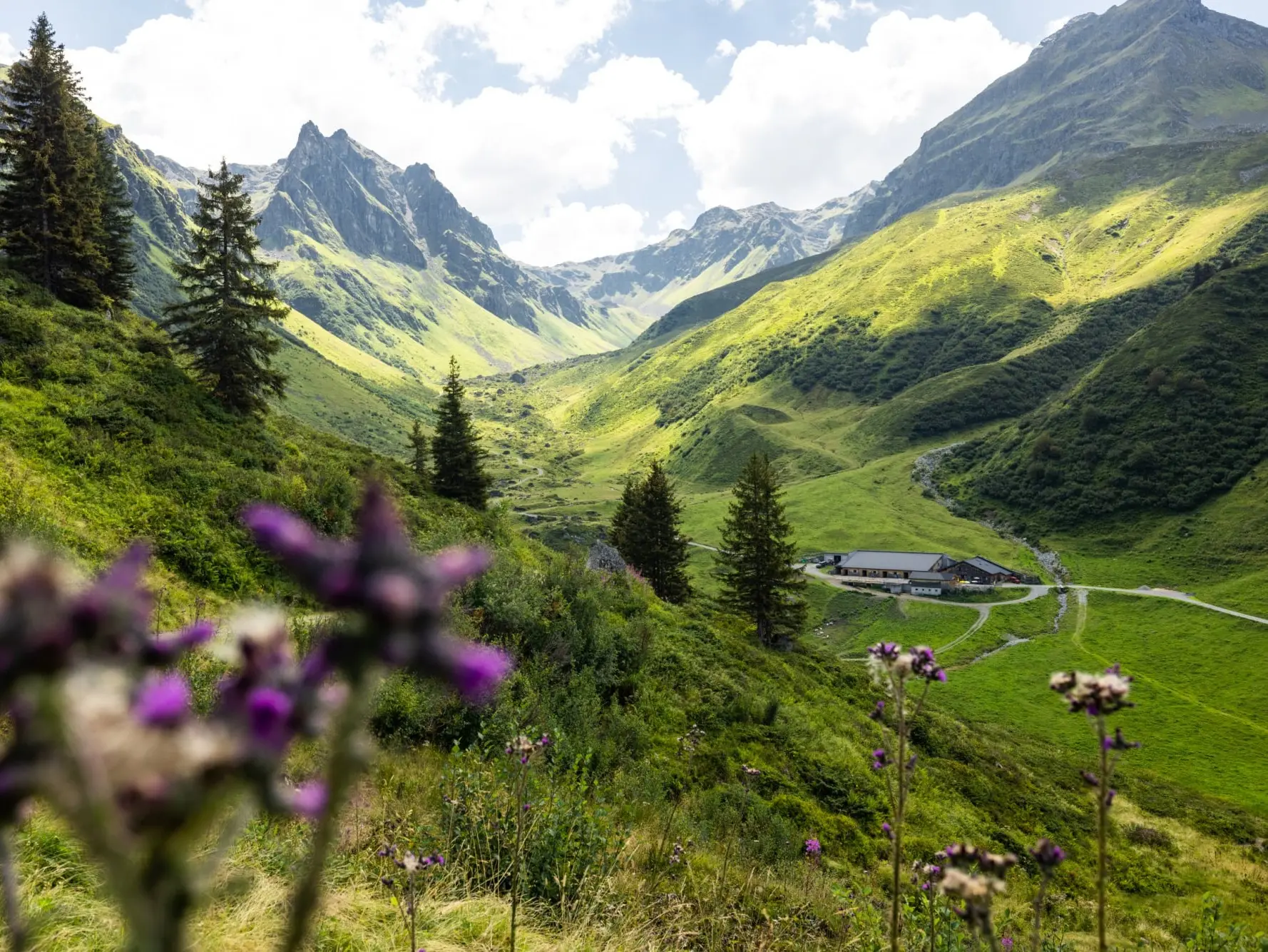 Alpe Nova, Montafon Tourismus GmbH, Stefan Kothner